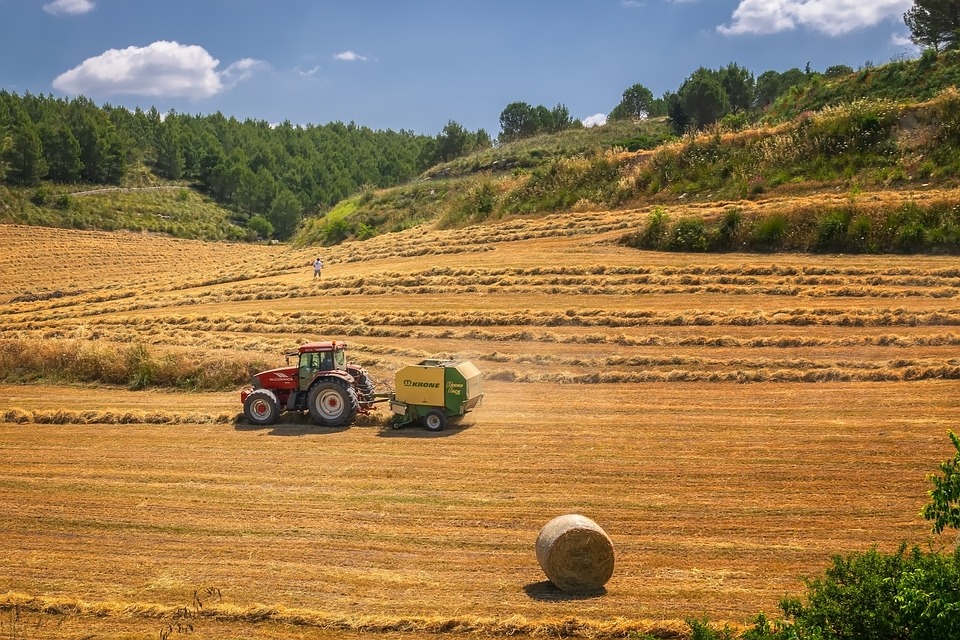 Poljoprivreda, ilustracija, foto: Peter H, pixabay