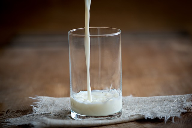 Mleko, ilustracija, foto: Pixabay.com, autor: Petra