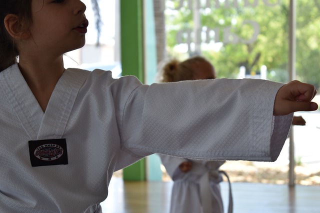 Karate, foto: Pixabay