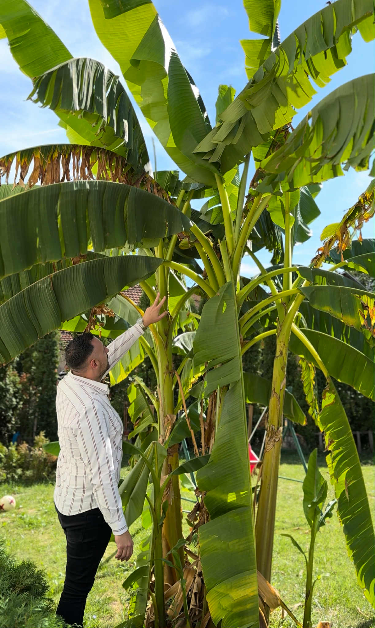 Marko Bubamara pored banane, foto: privatna arhiva